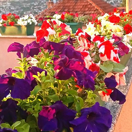 Garden Free Parking Apartment Sarajevo Luaran gambar