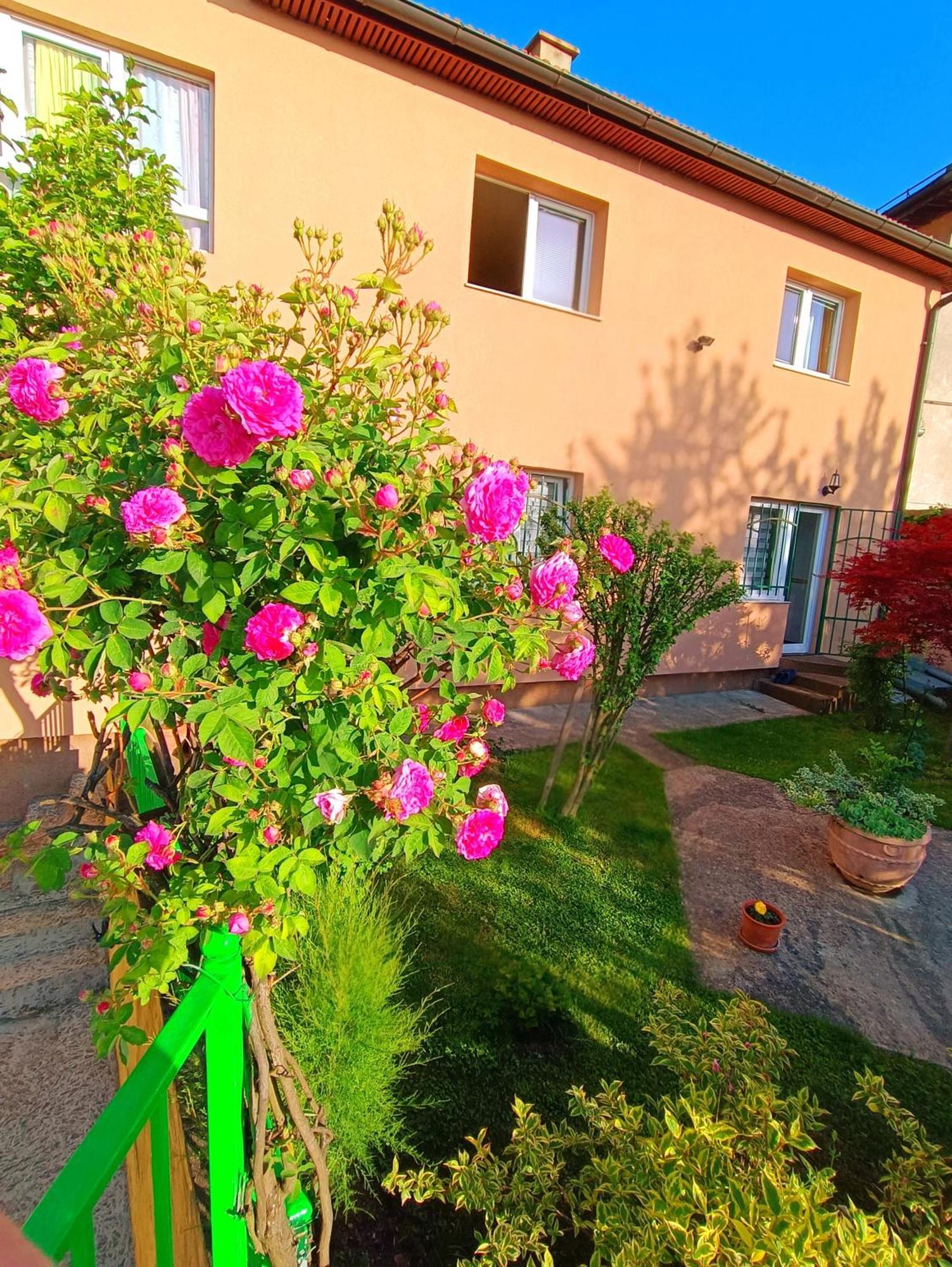 Garden Free Parking Apartment Sarajevo Luaran gambar