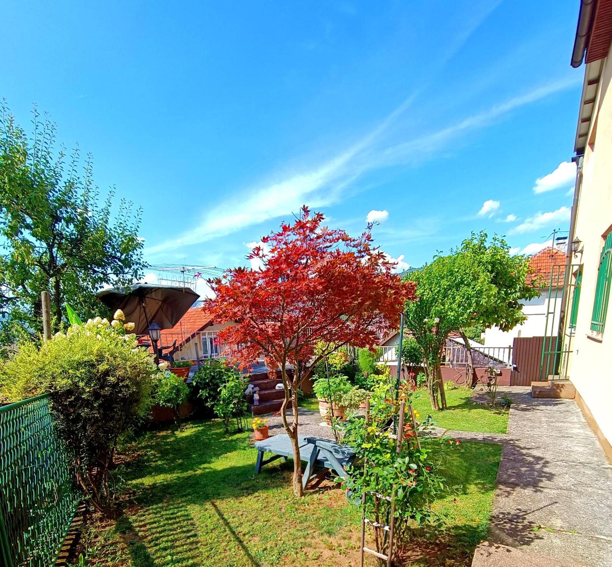 Garden Free Parking Apartment Sarajevo Bilik gambar