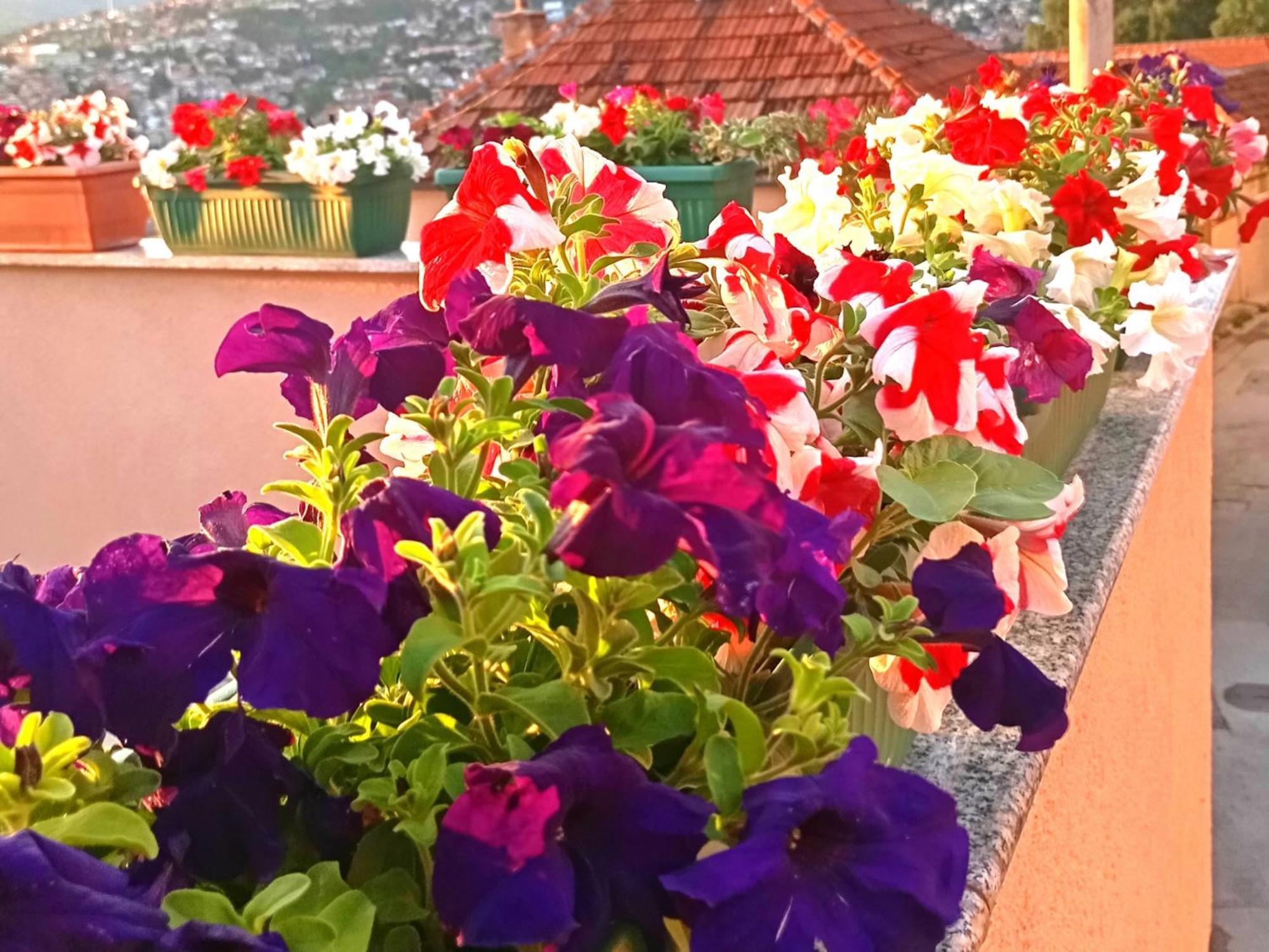 Garden Free Parking Apartment Sarajevo Luaran gambar