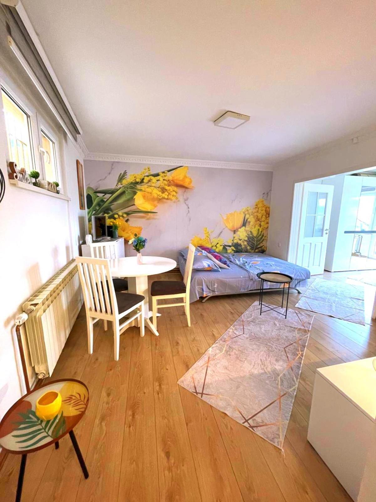 Garden Free Parking Apartment Sarajevo Bilik gambar