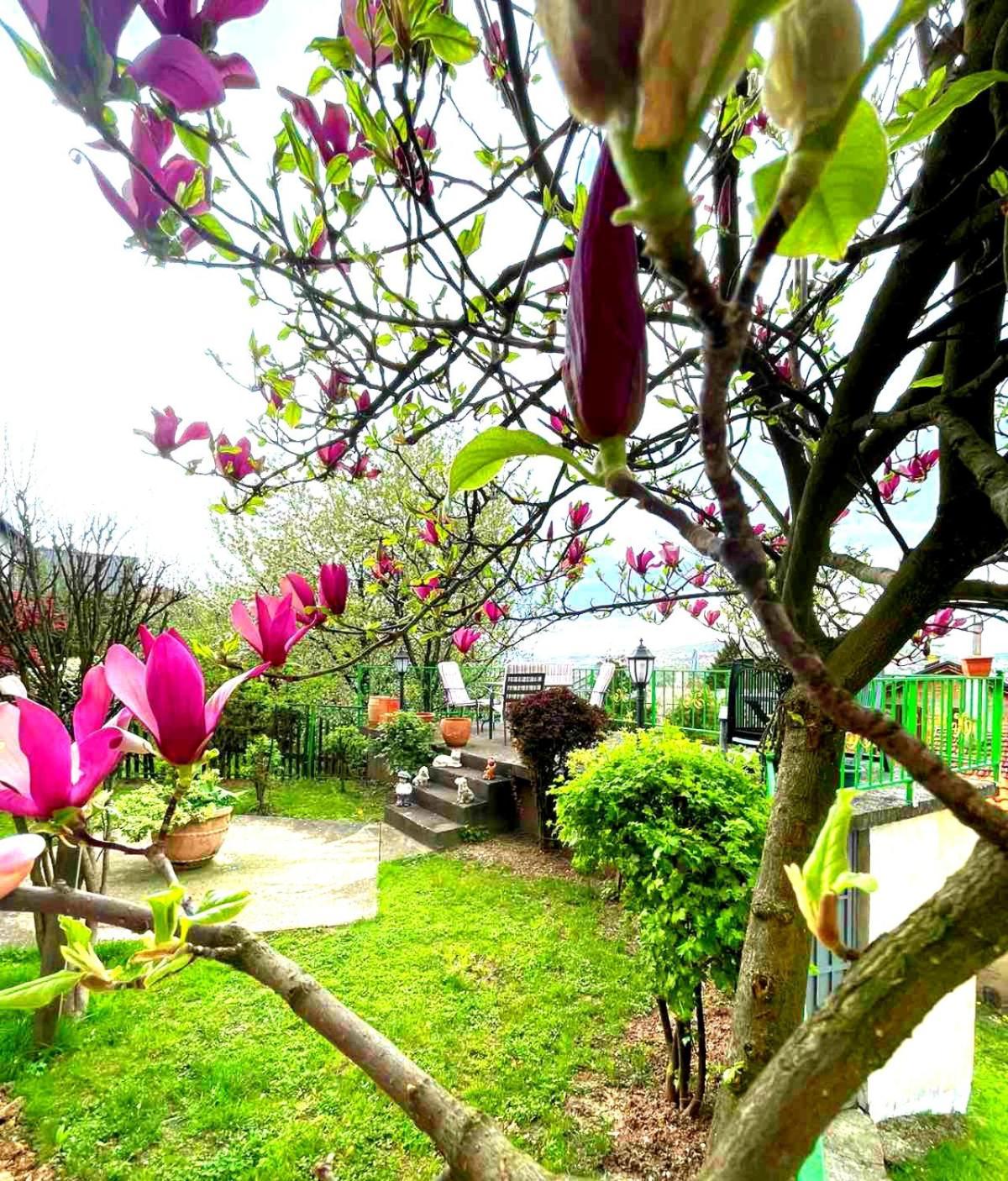 Garden Free Parking Apartment Sarajevo Luaran gambar